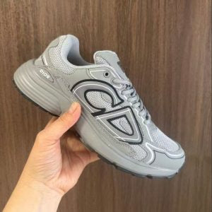 Dior B30 Grey